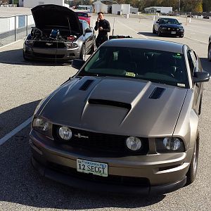 2005 Mustang GT350 (Tribute)