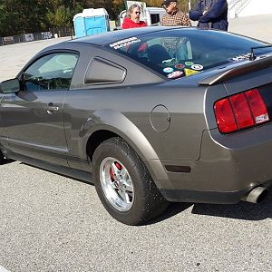 2005 Mustang GT350 (Tribute)