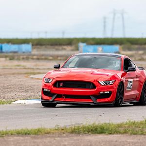 12638.jpg
