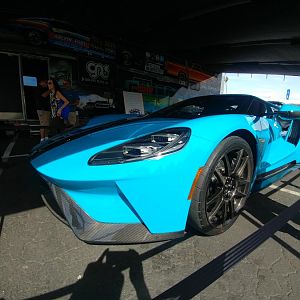 12664.jpg