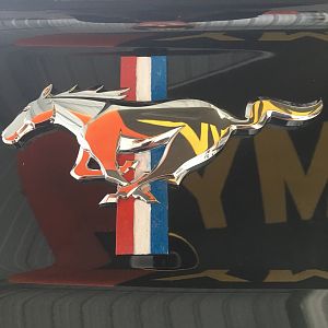 Pony