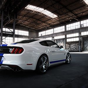 2015Mustang CSS14 Warehouse LowRes