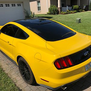 New tint!