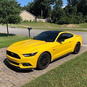 New tint!