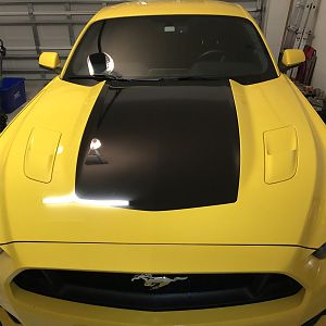 AM Hood Graphic