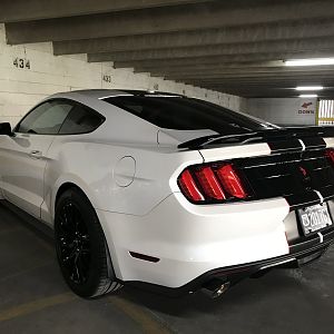 17 GTPP 1