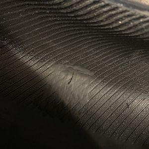 IMG_1880