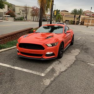 IMG_0074