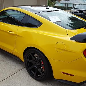 Left Rear