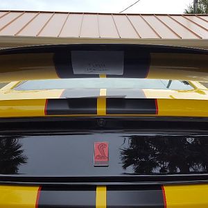 Rear