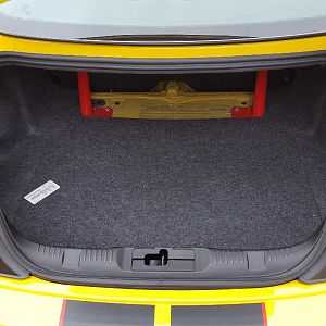 Trunk2