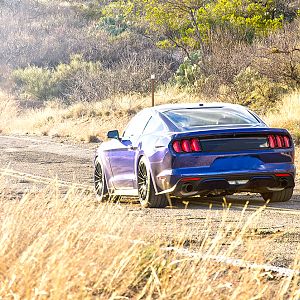 Mustang_010