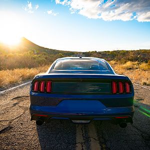 Mustang_009