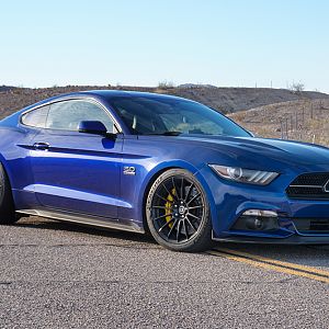 Mustang_006