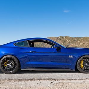 Mustang_005