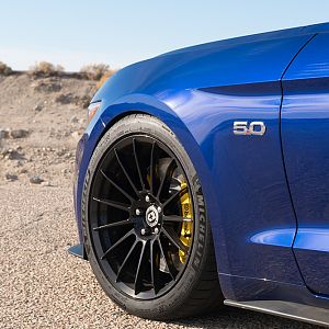 Mustang_004