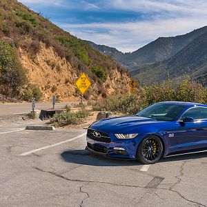 Mustang_003