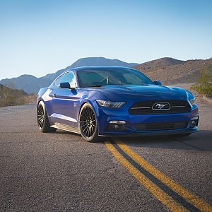 Mustang_002