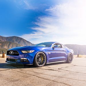 Mustang_001