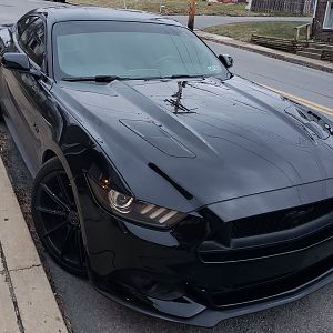 Stock 2015 Gt