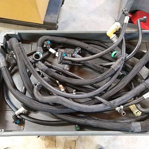Whipple Hoses