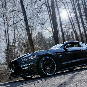 April_PoM_Mustang_small2