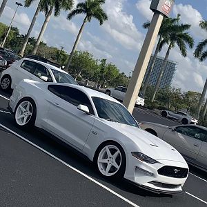 IMG_E3239