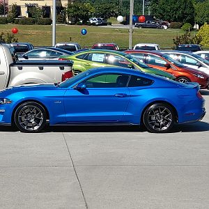 Mustang