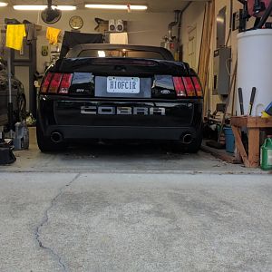 Cobra