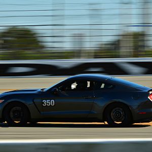 MK5_7818_1