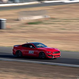 IMG_7193--2400x1600
