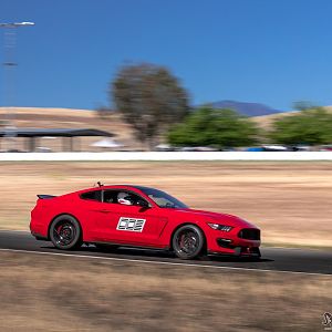 IMG_9324--2400x1600