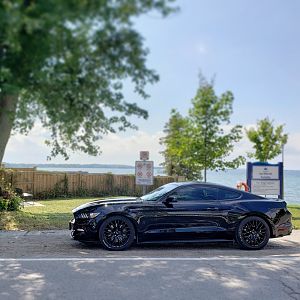 Mustangwater