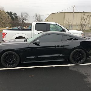 Mustang