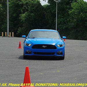 IMGP5439