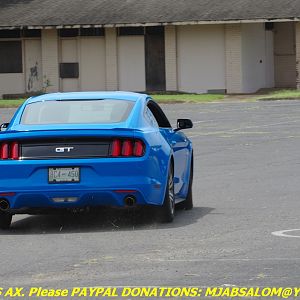 IMGP5446