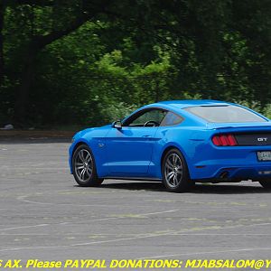 IMGP5448