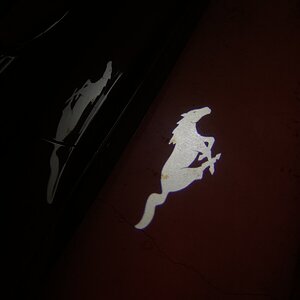 8B6AE02F-1B78-48DF-B430-AECD0438EA4F.jpeg