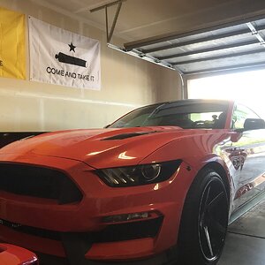 New GT350 Front Fascia.jpeg
