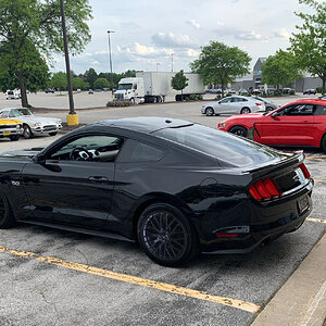 Roys_ppwheels.jpg