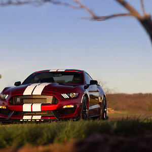 IMG_2691-Edit.jpg