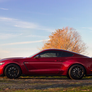 IMG_2759-Edit.jpg