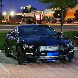 nightparked (2).jpg