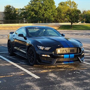 Shelby_Prof_Pic.jpg