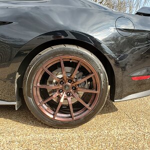 20220305_145731.jpg