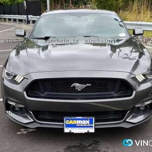 2015 Mustang GT - Sold to Carmax