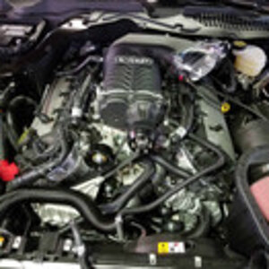 50L8RIB.10.jpg