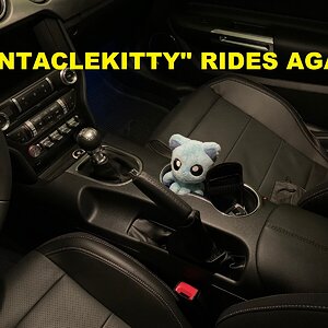 "TentacleKitty"