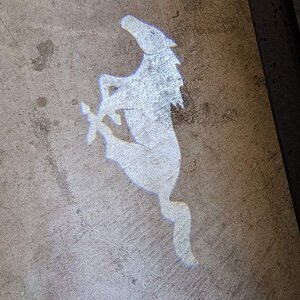 Ponylight.jpg