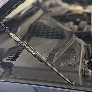 Hoodstruts.jpg